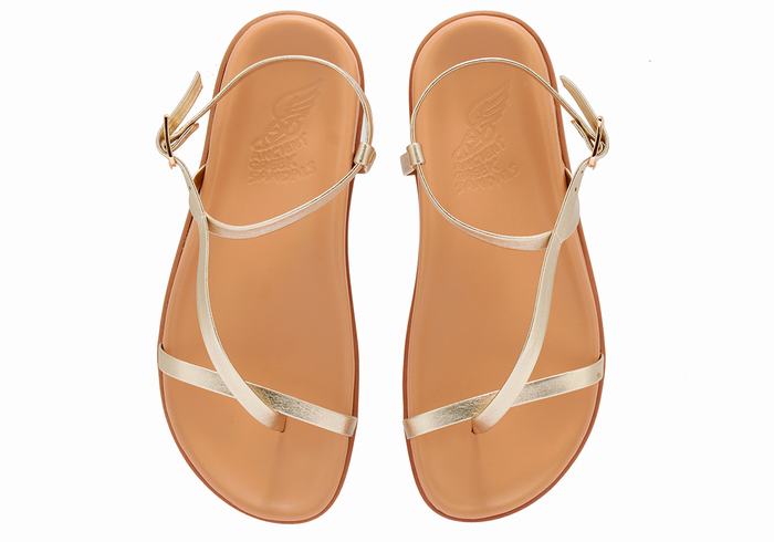 Sandales Bride Arrière Ancient Greek Sandals Aimilia   | TGI-4712572